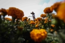 Filename=EUM20251017SOC04.jpg
Filesize=1200KiB
Dimensions=2048x1365
Date added=Oct 17, 2025 EUM20251017SOC04.jpg