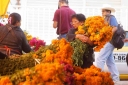 Filename=EUM20251027NAC05.jpg
Filesize=1446KiB
Dimensions=2048x1365
Date added=Oct 27, 2025 EUM20251027NAC05.jpg