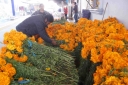 Filename=EUM20251027NAC06.jpg
Filesize=1634KiB
Dimensions=2048x1365
Date added=Oct 27, 2025 EUM20251027NAC06.jpg