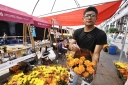 Filename=EUM20251027SOC24.jpg
Filesize=2127KiB
Dimensions=2048x1365
Date added=Oct 27, 2025 EUM20251027SOC24.jpg