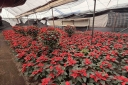 Filename=EUM20251122NAC10.jpg
Filesize=2656KiB
Dimensions=2048x1365
Date added=Nov 22, 2025 EUM20251122NAC10.jpg