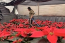 Filename=EUM20251122NAC12.jpg
Filesize=1616KiB
Dimensions=2048x1365
Date added=Nov 22, 2025 EUM20251122NAC12.jpg