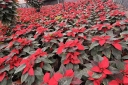 Filename=EUM20251122NAC13.jpg
Filesize=2662KiB
Dimensions=2048x1365
Date added=Nov 22, 2025 EUM20251122NAC13.jpg