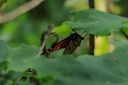 Filename=EUM20251122NAC14.JPG
Filesize=1579KiB
Dimensions=2048x1365
Date added=Nov 22, 2025 EUM20251122NAC14.JPG