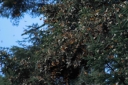 Filename=EUM20251122NAC15.jpg
Filesize=2102KiB
Dimensions=2048x1365
Date added=Nov 22, 2025 EUM20251122NAC15.jpg