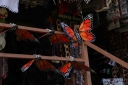 Filename=EUM20251122NAC16.jpg
Filesize=1385KiB
Dimensions=2048x1365
Date added=Nov 22, 2025 EUM20251122NAC16.jpg