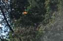 Filename=EUM20251122NAC18.jpg
Filesize=2213KiB
Dimensions=2048x1365
Date added=Nov 22, 2025 EUM20251122NAC18.jpg