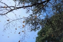 Filename=EUM20251122NAC19.jpg
Filesize=2374KiB
Dimensions=2048x1365
Date added=Nov 22, 2025 EUM20251122NAC19.jpg