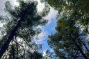 Filename=EUM20251221NAC13.jpg
Filesize=2512KiB
Dimensions=2048x1365
Date added=Dec 21, 2025 EUM20251221NAC13.jpg
