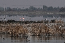 Filename=EUM20251225SOC29.JPG
Filesize=1798KiB
Dimensions=2048x1365
Date added=Dec 25, 2025 EUM20251225SOC29.JPG
