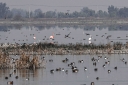 Filename=EUM20251225SOC32.jpg
Filesize=1650KiB
Dimensions=2048x1365
Date added=Dec 25, 2025 EUM20251225SOC32.jpg