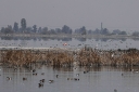 Filename=EUM20251225SOC33.jpg
Filesize=1806KiB
Dimensions=2048x1365
Date added=Dec 25, 2025 EUM20251225SOC33.jpg