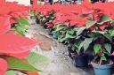 Filename=EUM20260105SOC35.JPG
Filesize=2062KiB
Dimensions=2048x1365
Date added=Jan 05, 2026 EUM20260105SOC35.JPG