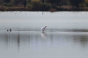 Filename=EUM20260105SOC36.JPG
Filesize=1299KiB
Dimensions=2048x1365
Date added=Jan 05, 2026 EUM20260105SOC36.JPG