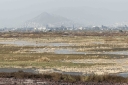 Filename=EUM20260105SOC38.JPG
Filesize=2212KiB
Dimensions=2048x1365
Date added=Jan 05, 2026 EUM20260105SOC38.JPG
