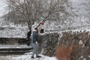 Filename=EUM20260125NAC29.JPG
Filesize=2396KiB
Dimensions=2048x1365
Date added=Jan 25, 2026 EUM20260125NAC29.JPG