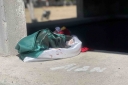 Filename=EUM20260126NAC03.jpg
Filesize=1255KiB
Dimensions=2048x1365
Date added=Jan 26, 2026 EUM20260126NAC03.jpg