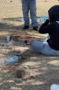 Filename=EUM20260126NAC09.jpg
Filesize=2448KiB
Dimensions=1365x2048
Date added=Jan 26, 2026 EUM20260126NAC09.jpg