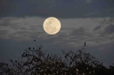 Filename=EUM20260201NAC18.JPG
Filesize=1138KiB
Dimensions=2048x1365
Date added=Feb 01, 2026 EUM20260201NAC18.JPG