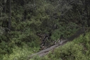 Filename=EUM20260202SOC52.jpg
Filesize=2840KiB
Dimensions=2048x1365
Date added=Feb 02, 2026 EUM20260202SOC52.jpg