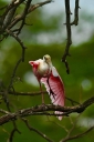 Filename=EUM20260206NAC03.jpg
Filesize=1347KiB
Dimensions=1365x2048
Date added=Feb 06, 2026 EUM20260206NAC03.jpg