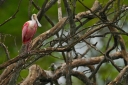 Filename=EUM20260206NAC05.jpg
Filesize=1630KiB
Dimensions=2048x1365
Date added=Feb 06, 2026 EUM20260206NAC05.jpg
