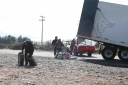 Filename=EUM20260223NAC06.jpg
Filesize=1825KiB
Dimensions=2048x1365
Date added=Feb 23, 2026 EUM20260223NAC06.jpg