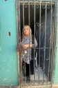 Filename=EUM20260223NAC18.JPG
Filesize=1916KiB
Dimensions=1365x2048
Date added=Feb 23, 2026 EUM20260223NAC18.JPG