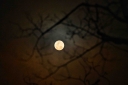 Filename=EUM20260302NAC13.jpg
Filesize=1111KiB
Dimensions=2048x1365
Date added=Mar 02, 2026 EUM20260302NAC13.jpg