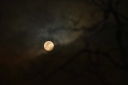 Filename=EUM20260302NAC14.jpg
Filesize=1020KiB
Dimensions=2048x1365
Date added=Mar 02, 2026 EUM20260302NAC14.jpg
