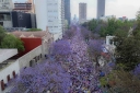 Filename=EUM20260308SOC64.jpg
Filesize=2278KiB
Dimensions=2048x1365
Date added=Mar 08, 2026 EUM20260308SOC64.jpg