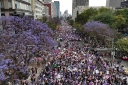 Filename=EUM20260308SOC66.JPG
Filesize=2359KiB
Dimensions=2048x1365
Date added=Mar 08, 2026 EUM20260308SOC66.JPG