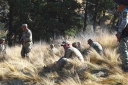 Filename=EUM20260315NAC08.jpg
Filesize=2846KiB
Dimensions=2048x1365
Date added=Mar 15, 2026 EUM20260315NAC08.jpg
