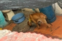 Filename=EUM20260315SOC11.JPG
Filesize=1505KiB
Dimensions=2048x1365
Date added=Mar 15, 2026 EUM20260315SOC11.JPG