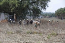 Filename=EUM20260427SOC10.jpg
Filesize=2135KiB
Dimensions=2048x1365
Date added=Apr 27, 2026 EUM20260427SOC10.jpg