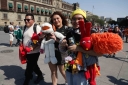 Filename=EUM20260430ESP14.jpg
Filesize=1474KiB
Dimensions=2048x1365
Date added=Apr 30, 2026 EUM20260430ESP14.jpg