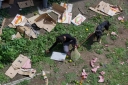 Filename=EUM20260613SOC03.jpg
Filesize=2288KiB
Dimensions=2048x1365
Date added=Jun 13, 2026 EUM20260613SOC03.jpg