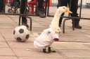 Filename=EUM20260621SOC09.JPG
Filesize=1486KiB
Dimensions=2048x1365
Date added=Jun 21, 2026 EUM20260621SOC09.JPG