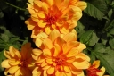 Filename=EUM20260803SOC30.JPG
Filesize=1415KiB
Dimensions=2048x1365
Date added=Aug 03, 2026 EUM20260803SOC30.JPG