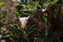 Filename=EUM20260809NAC05.jpg
Filesize=1303KiB
Dimensions=2048x1365
Date added=Aug 09, 2026 EUM20260809NAC05.jpg