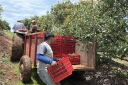 Filename=EUM20260810NAC05.jpg
Filesize=2944KiB
Dimensions=2048x1365
Date added=Aug 10, 2026 EUM20260810NAC05.jpg