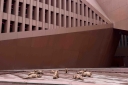 Filename=EUM20260824CUL02.jpg
Filesize=1298KiB
Dimensions=2048x1365
Date added=Aug 24, 2026 EUM20260824CUL02.jpg