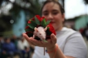 Filename=EUM20260831NAC16.jpg
Filesize=1066KiB
Dimensions=2048x1365
Date added=Aug 31, 2026 EUM20260831NAC16.jpg
