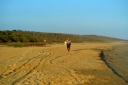 Filename=EUM20250608NAC02.JPG
Filesize=1733KiB
Dimensions=2048x1365
Date added=Jun 08, 2025 EUM20250608NAC02.JPG