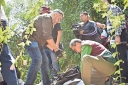 Filename=EUM2025060POL27.JPG
Filesize=2058KiB
Dimensions=2048x1365
Date added=Jun 09, 2025 EUM2025060POL27.JPG