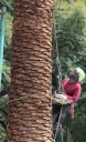 EUM20250908SPOL17.JPG