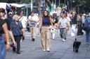 Filename=EUM20250914SOC17.JPG
Filesize=1348KiB
Dimensions=2048x1365
Date added=Sep 14, 2025 EUM20250914SOC17.JPG