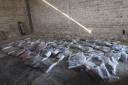 Filename=EUM20250928NAC06.JPG
Filesize=1491KiB
Dimensions=2048x1365
Date added=Sep 28, 2025 EUM20250928NAC06.JPG