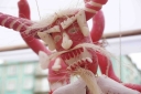 Filename=EUM20251223NAC03.JPG
Filesize=1276KiB
Dimensions=2048x1365
Date added=Dec 23, 2025 EUM20251223NAC03.JPG