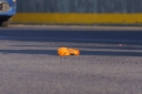 Filename=EUM20251228SOC14.JPG
Filesize=1340KiB
Dimensions=2048x1365
Date added=Dec 28, 2025 EUM20251228SOC14.JPG